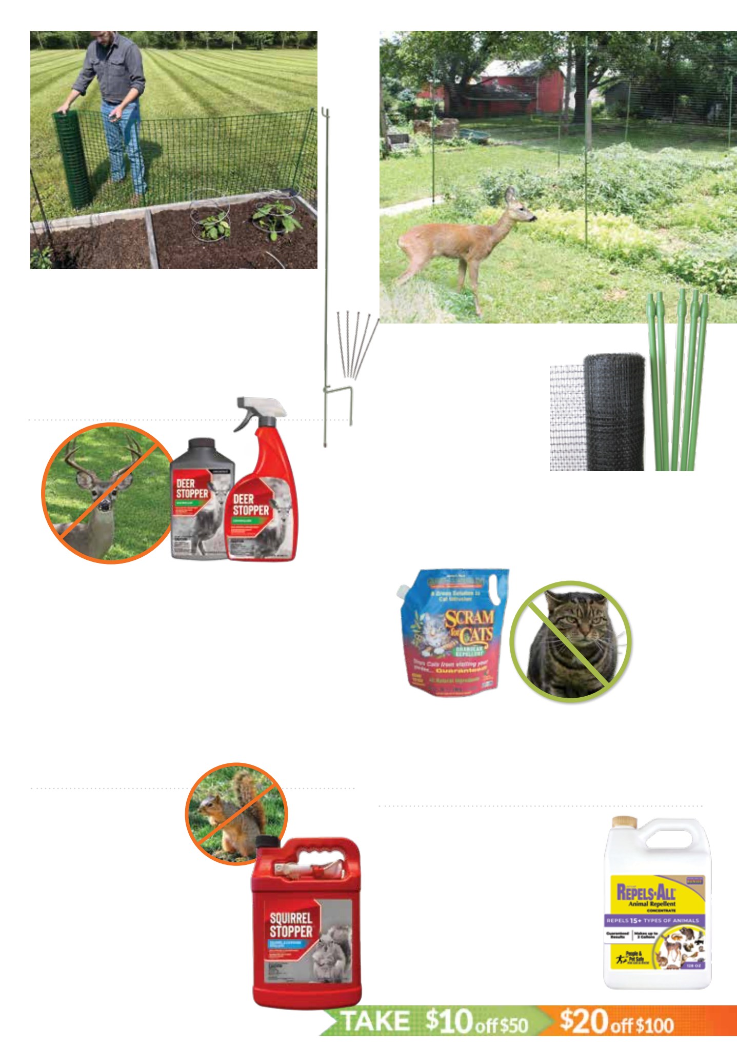Flyer page 35