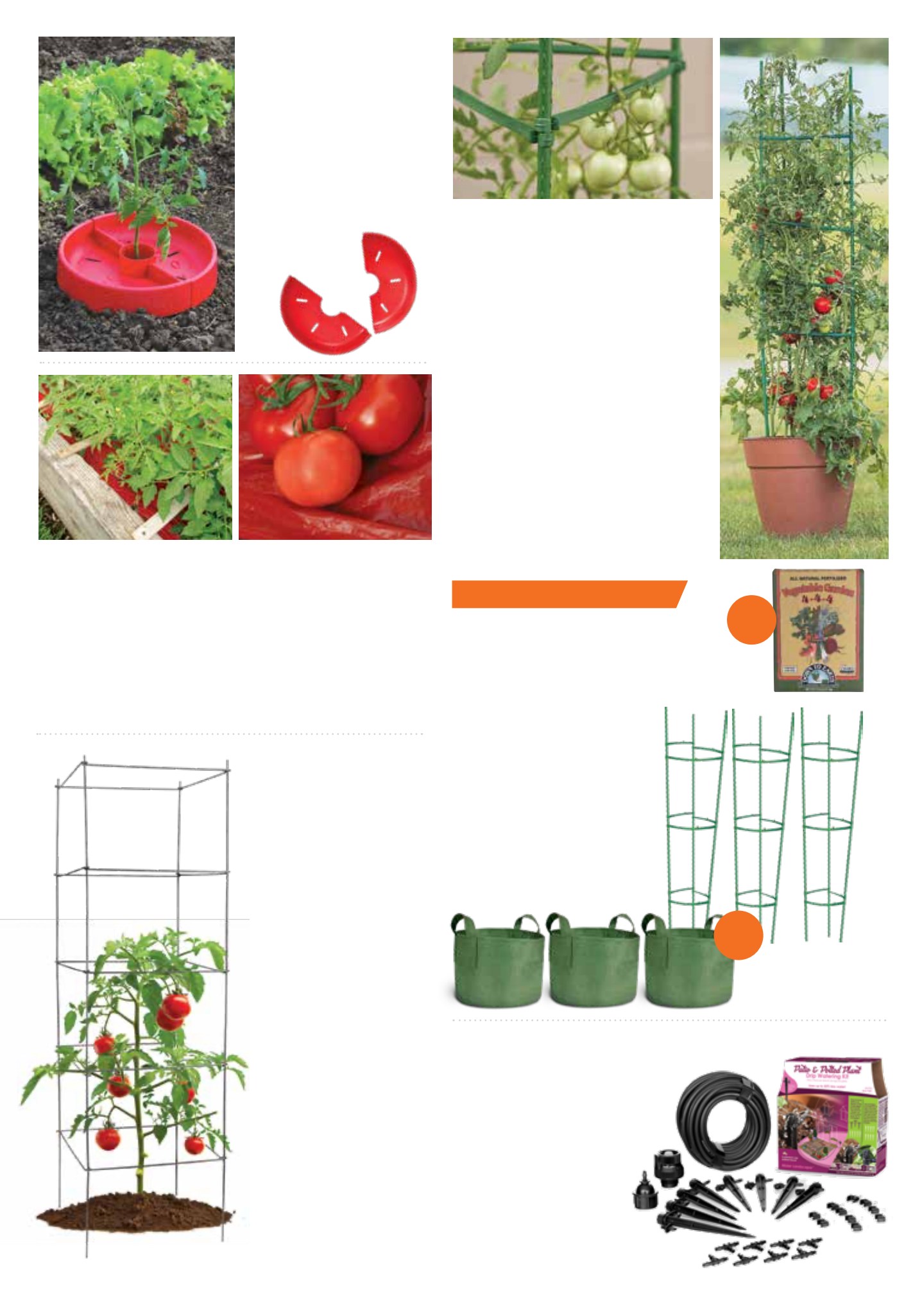 Flyer page 10