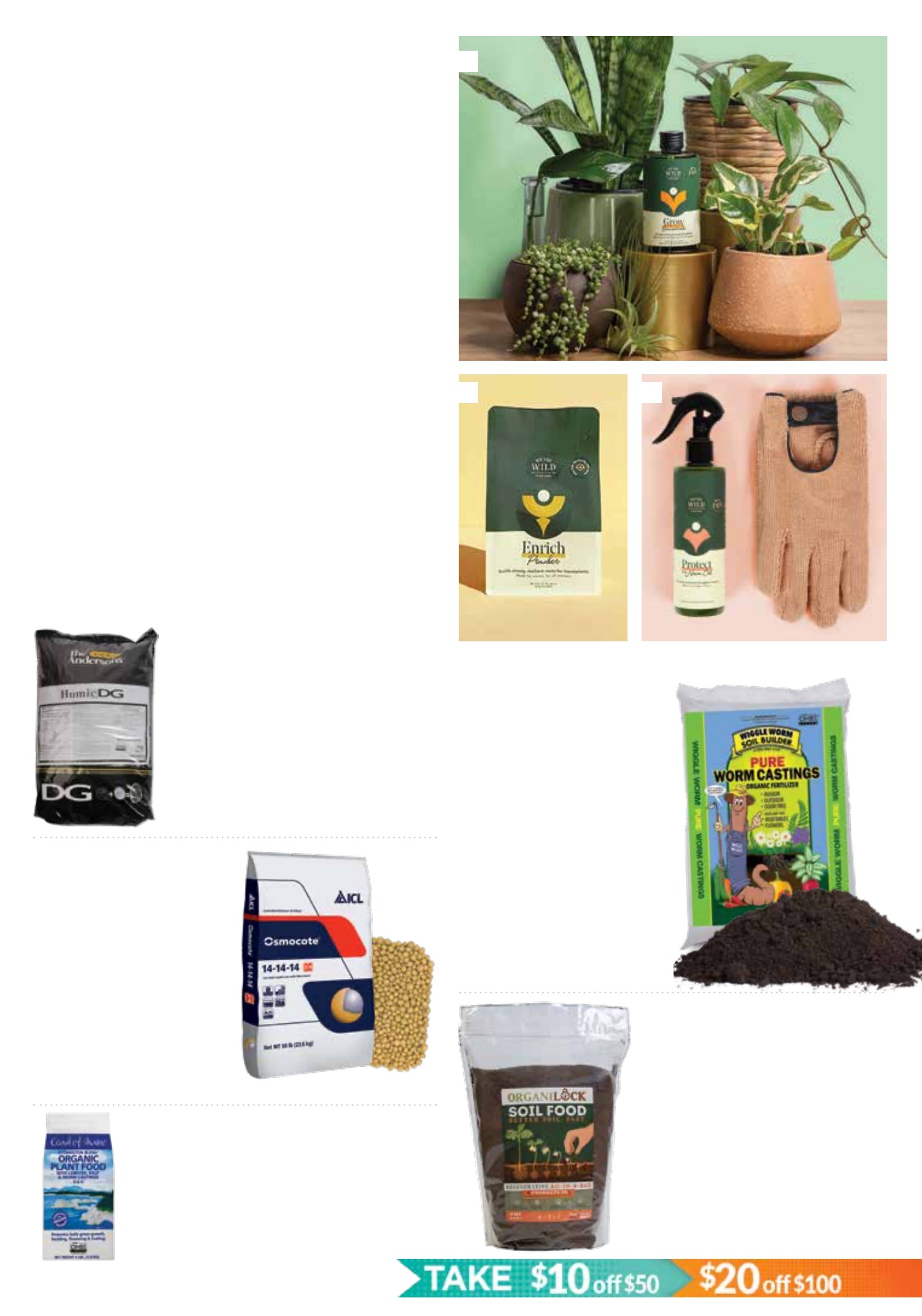 Flyer page 11