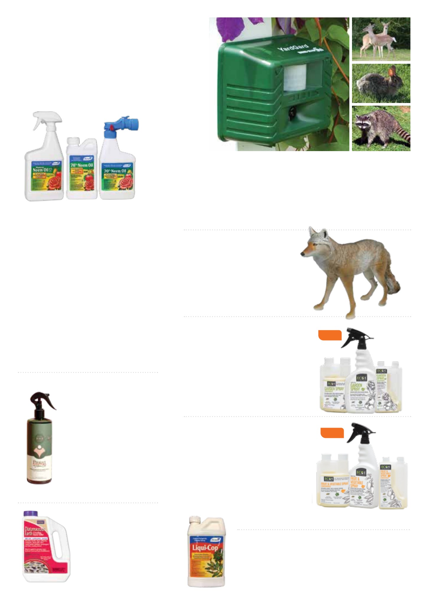 Flyer page 34