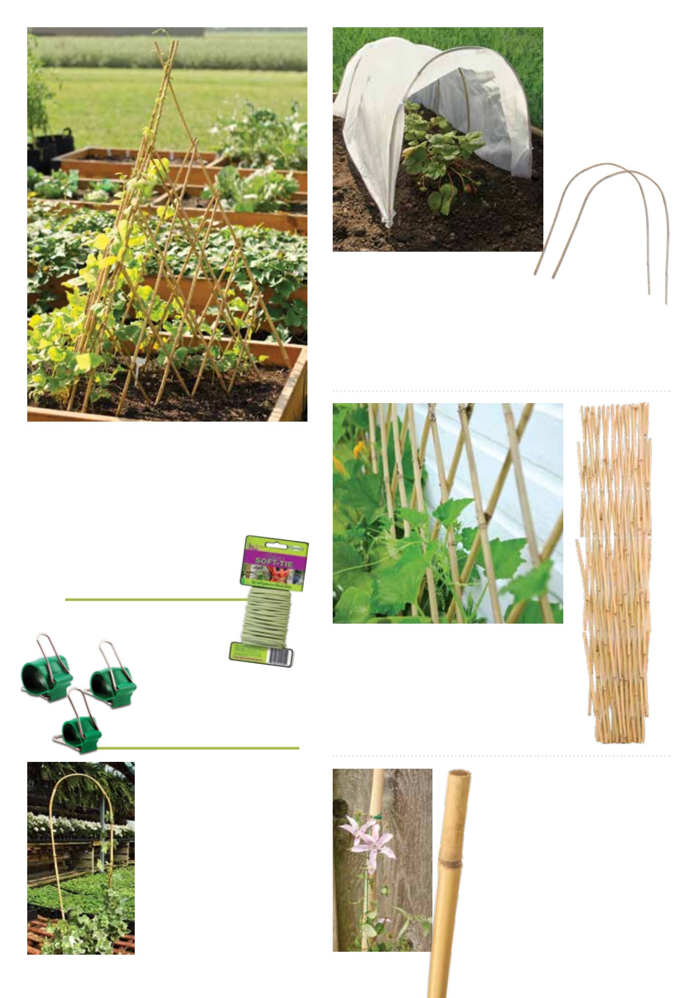 Flyer page 16