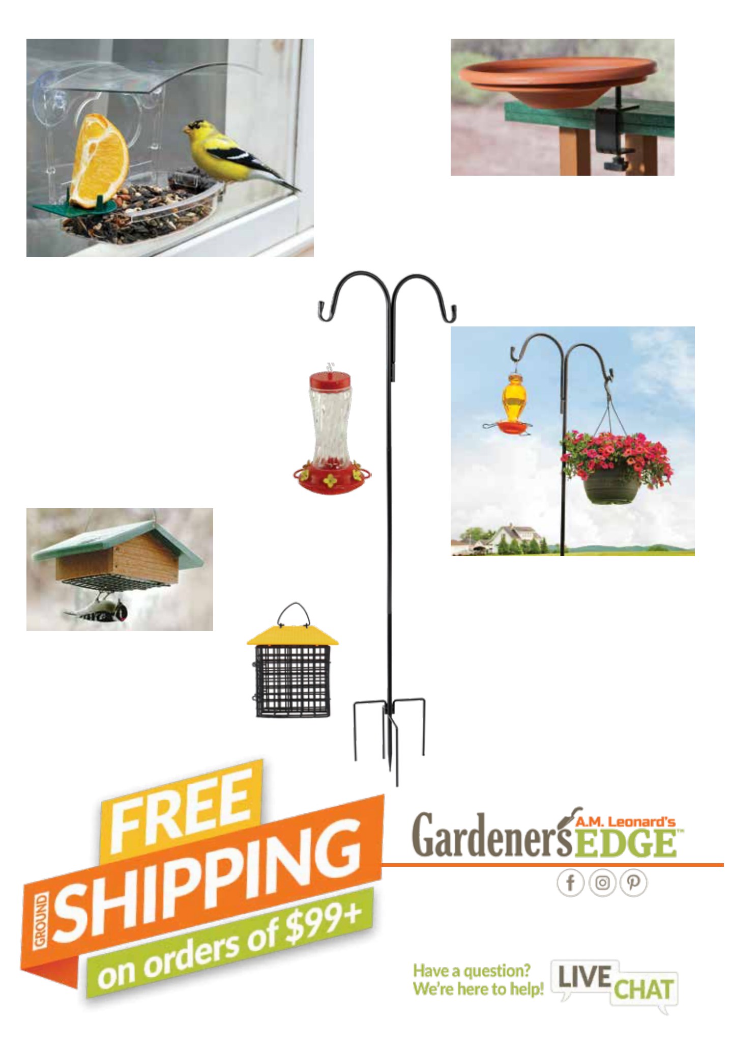 Flyer page 36