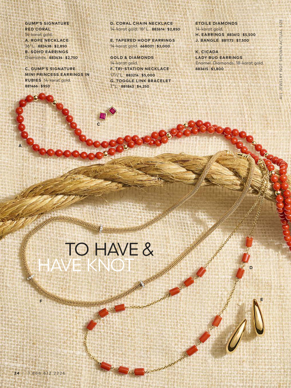 Flyer page 24