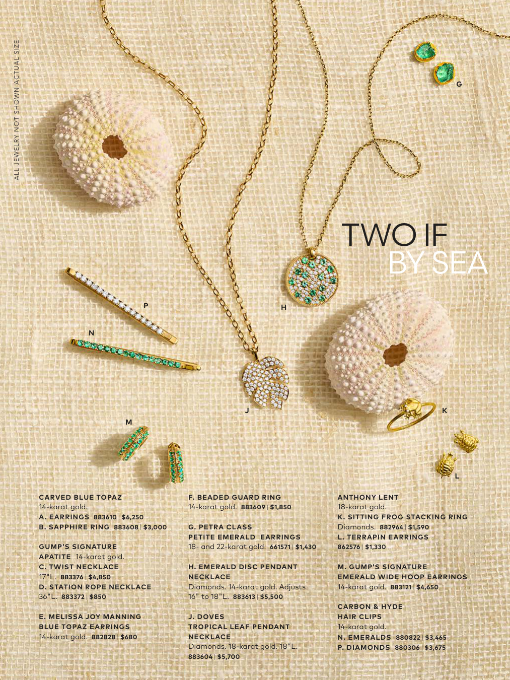 Flyer page 7