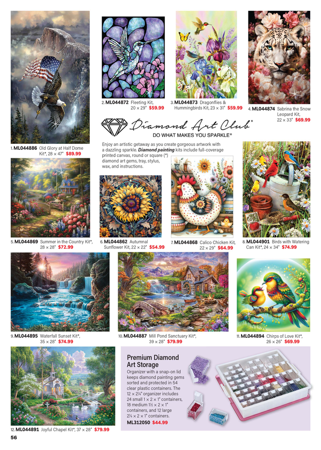 Flyer page 61