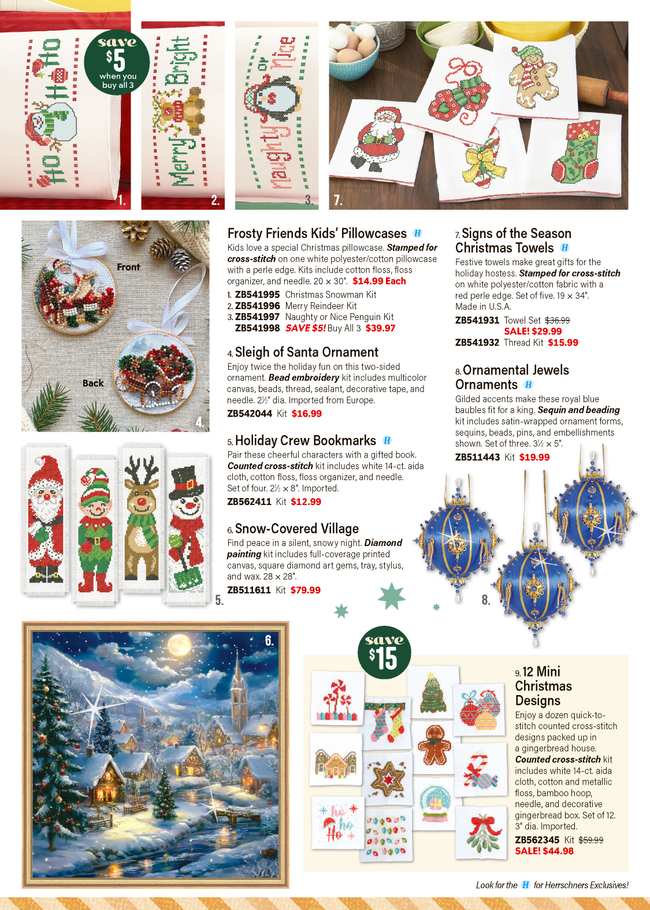 Flyer page 6