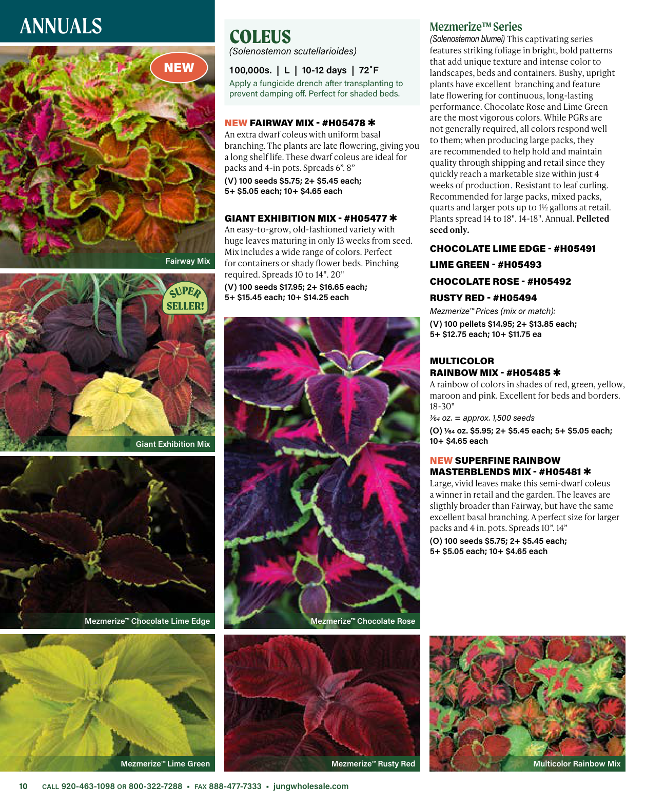 Flyer page 10