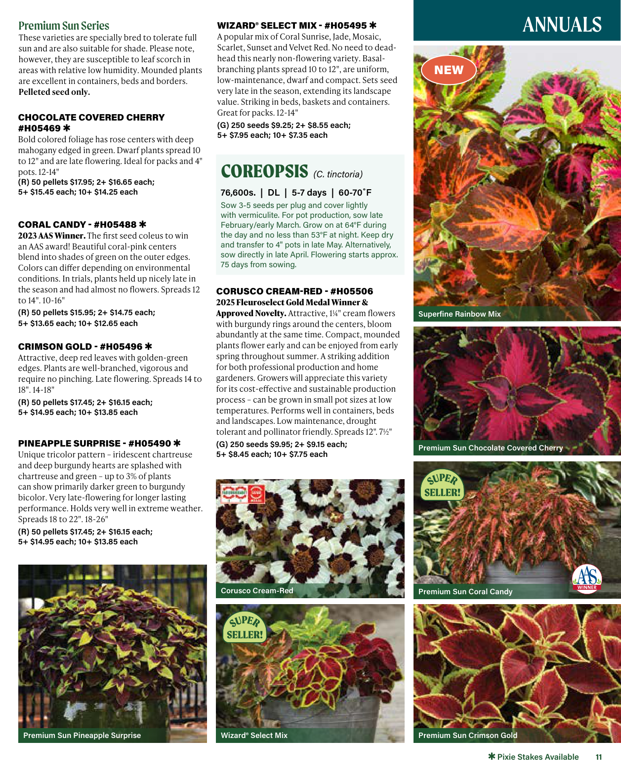 Flyer page 11
