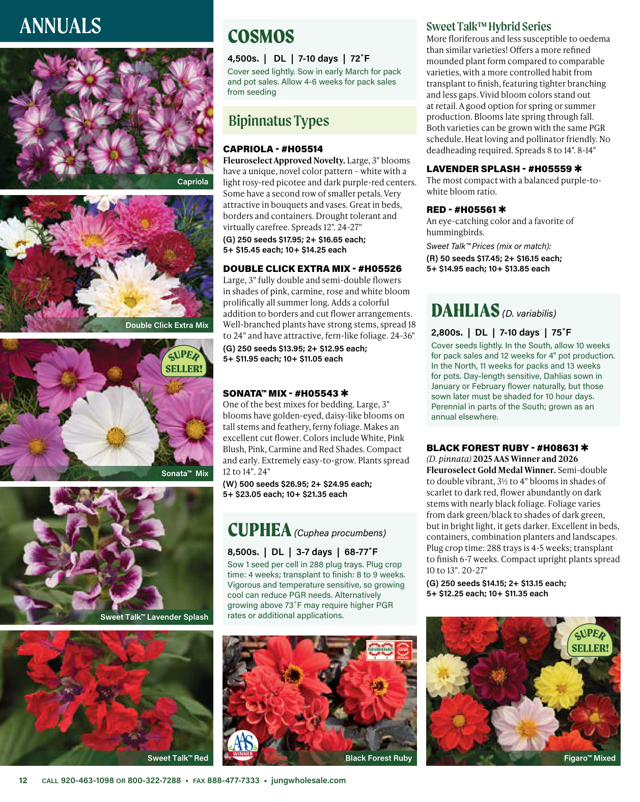 Flyer page 12