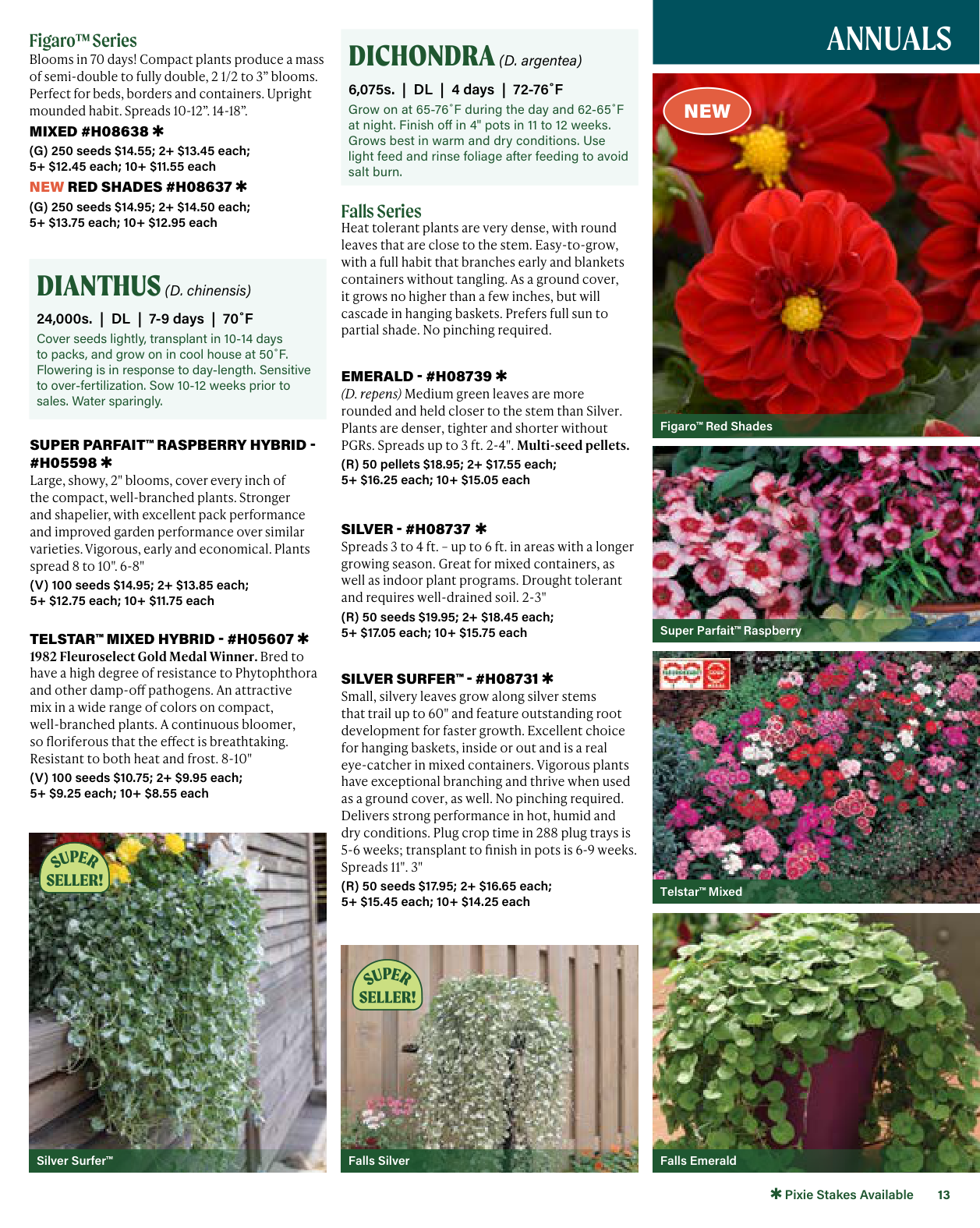 Flyer page 13