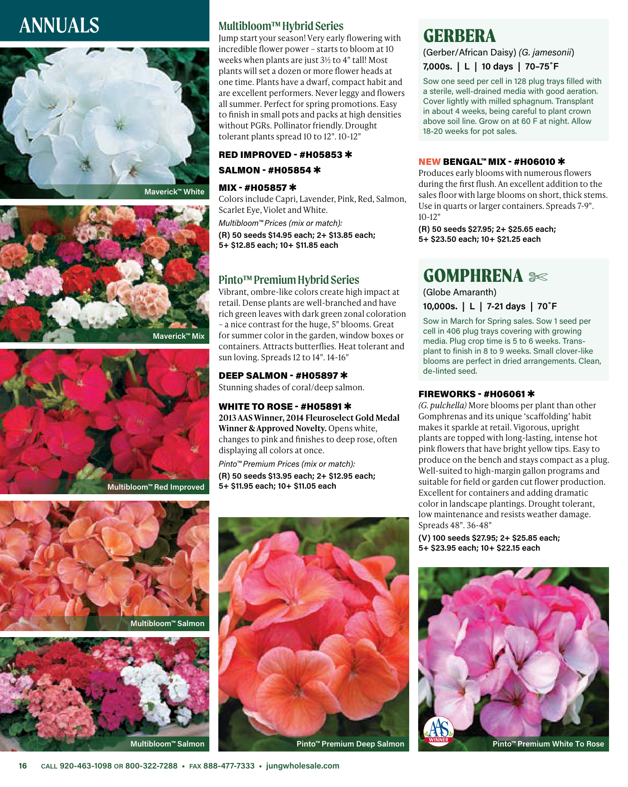 Flyer page 16