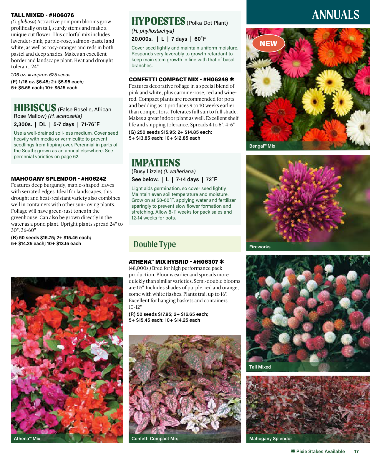Flyer page 17