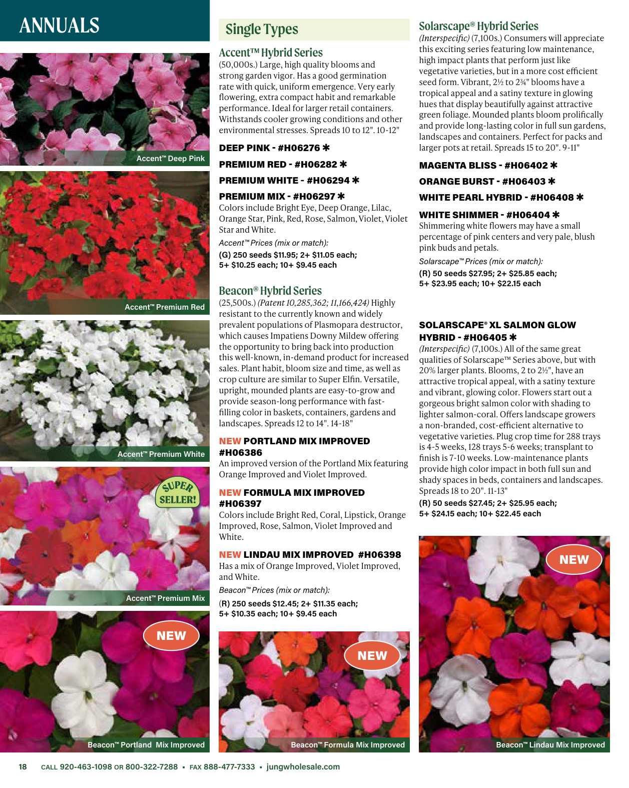 Flyer page 18