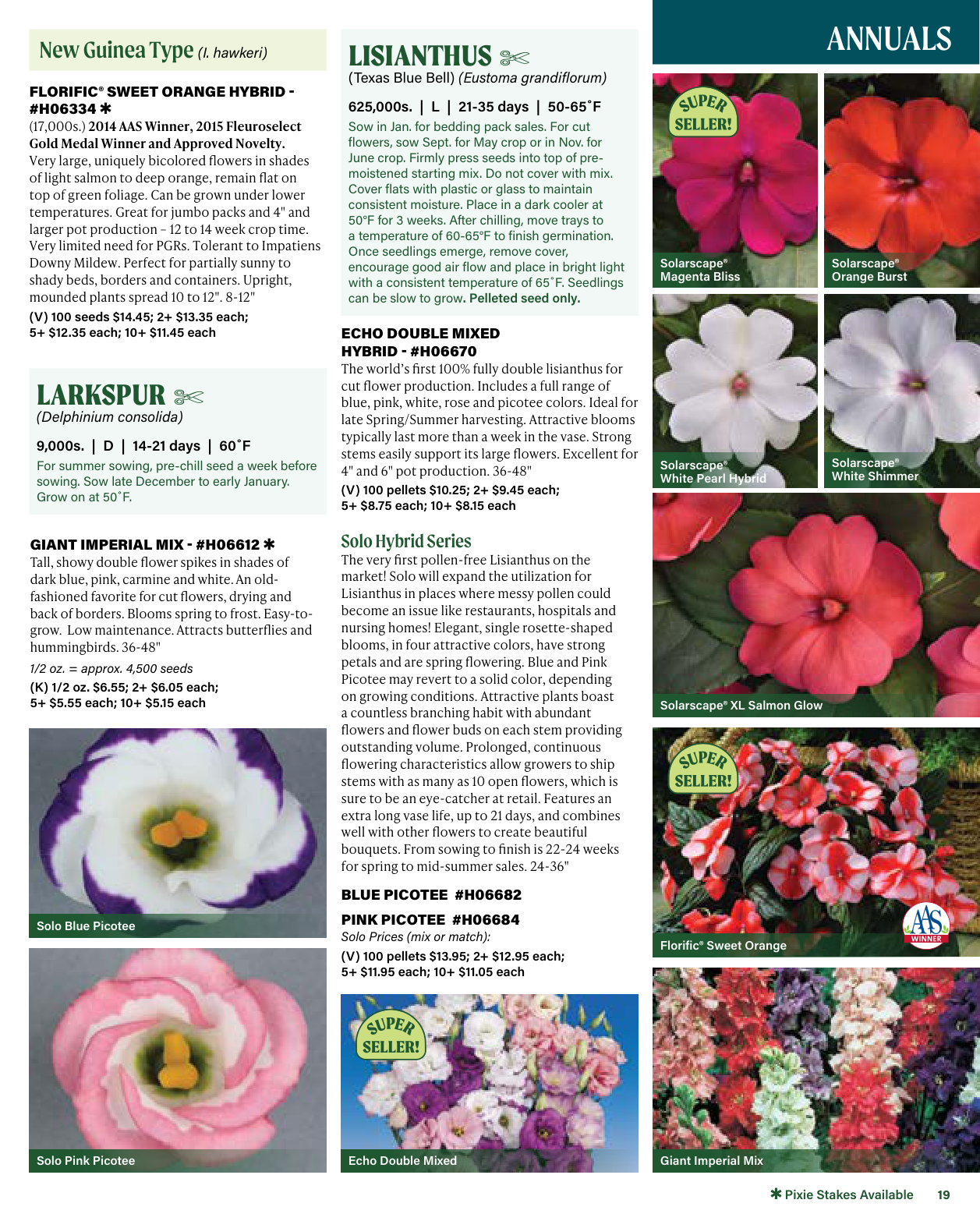 Flyer page 19