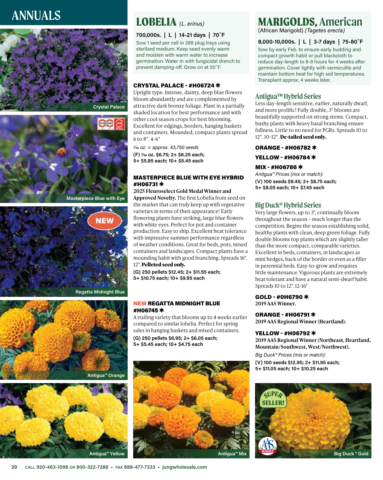 Flyer page 20