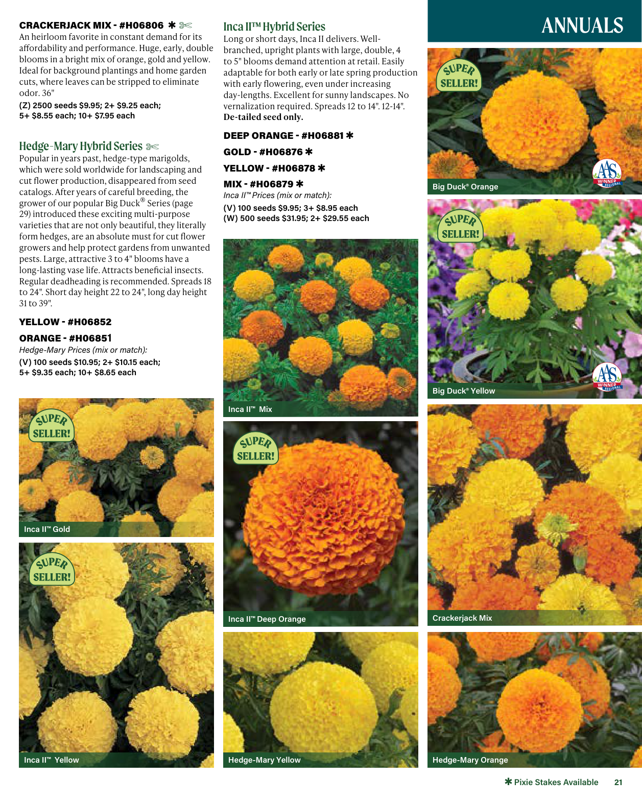 Flyer page 21