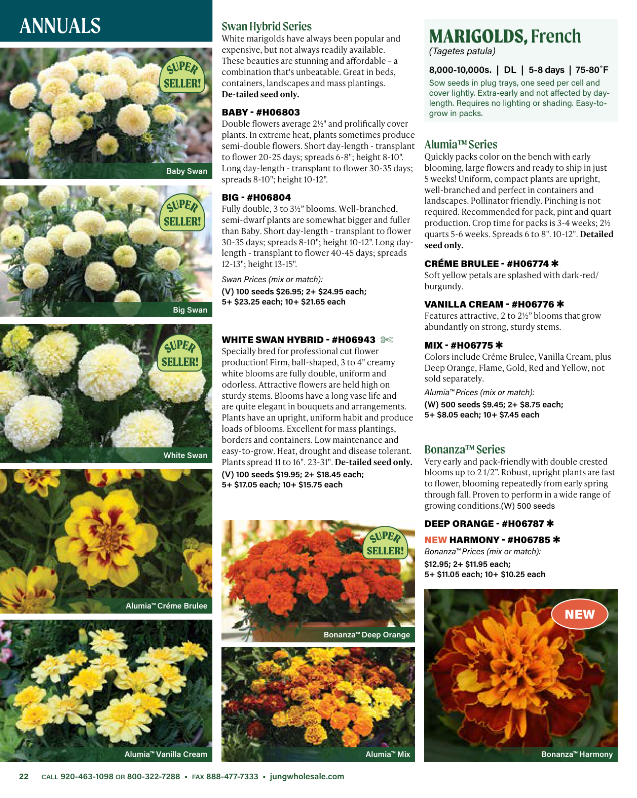 Flyer page 22