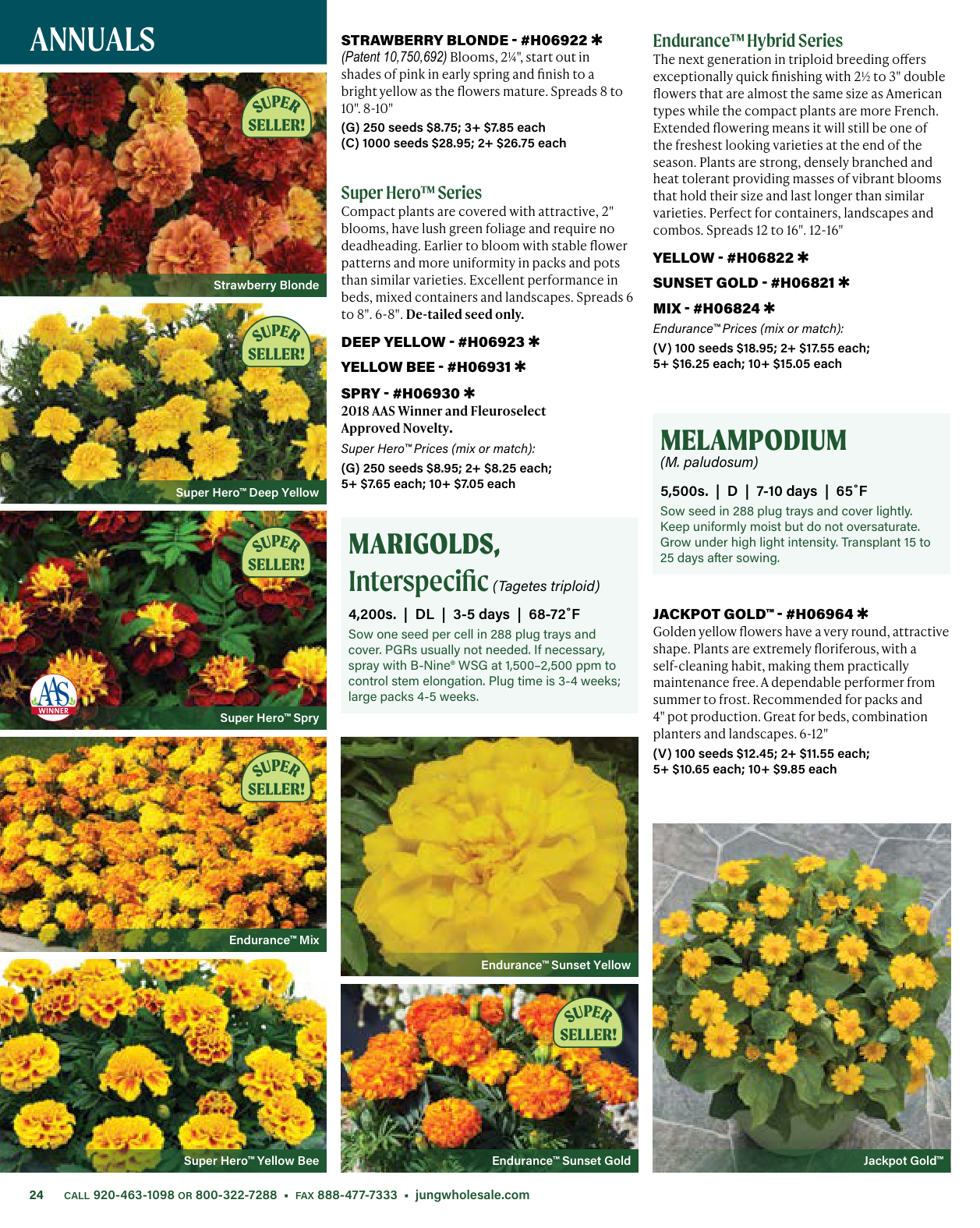 Flyer page 24