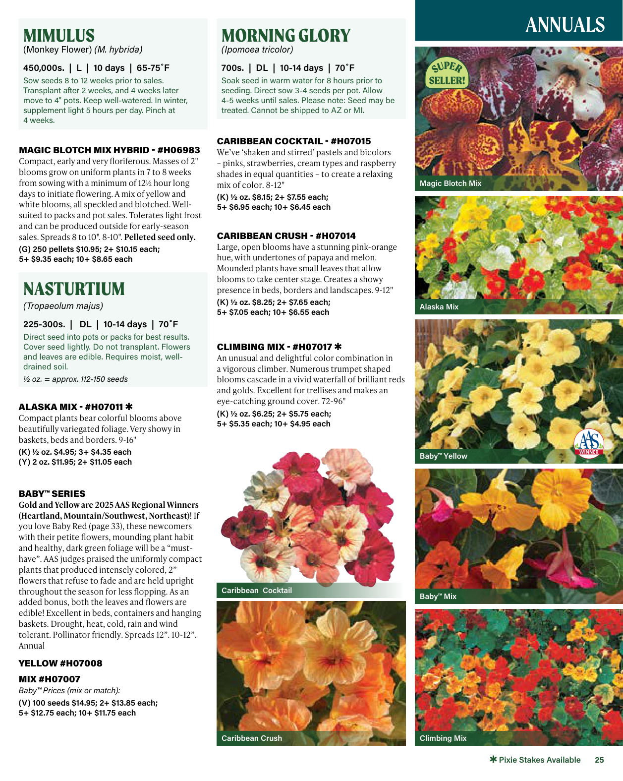 Flyer page 25