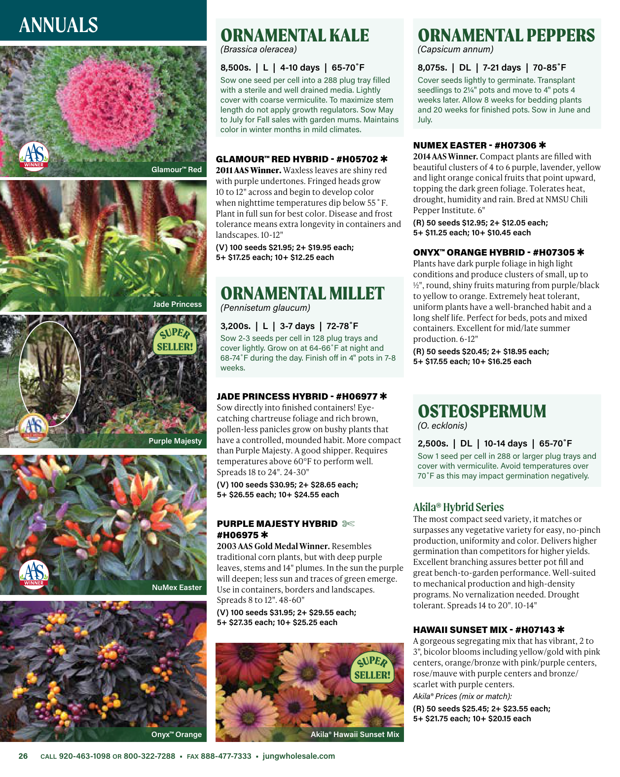 Flyer page 26