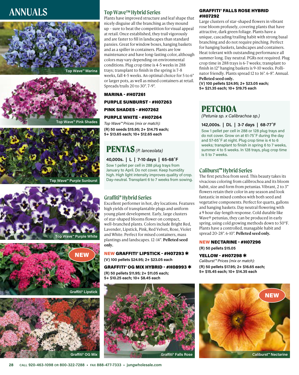 Flyer page 28