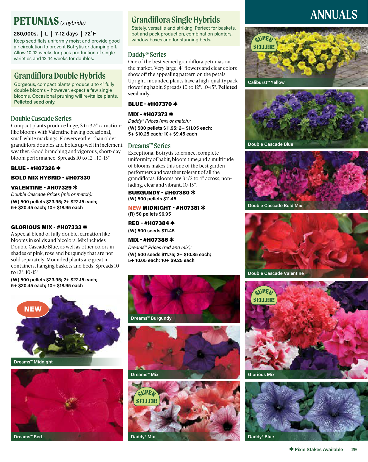 Flyer page 29