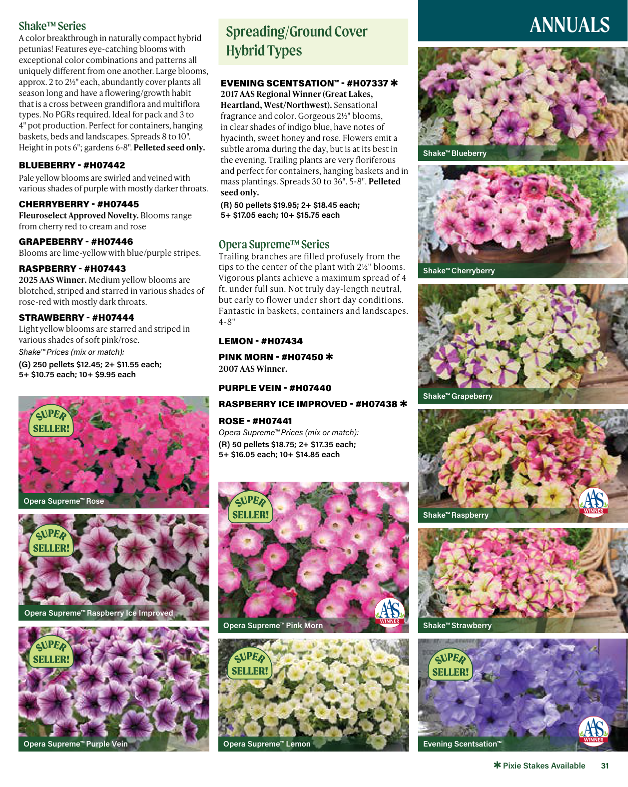 Flyer page 31