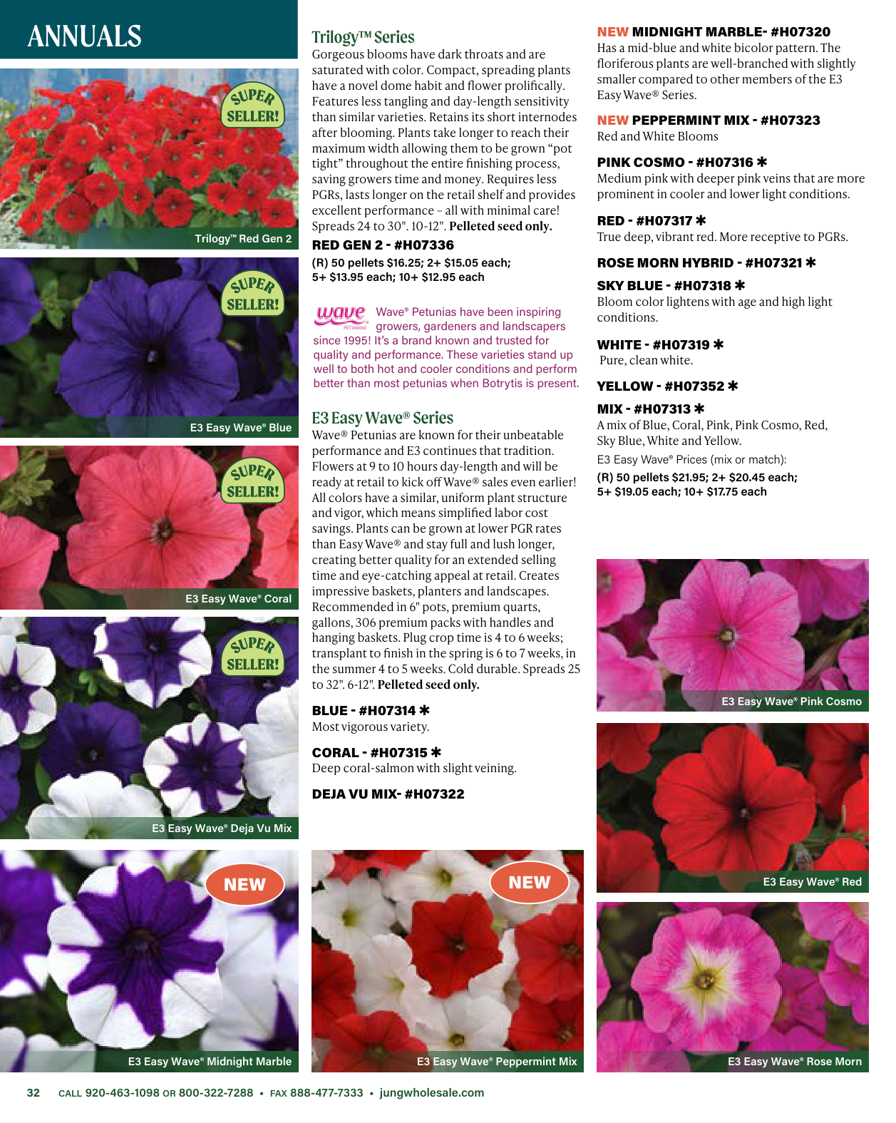 Flyer page 32