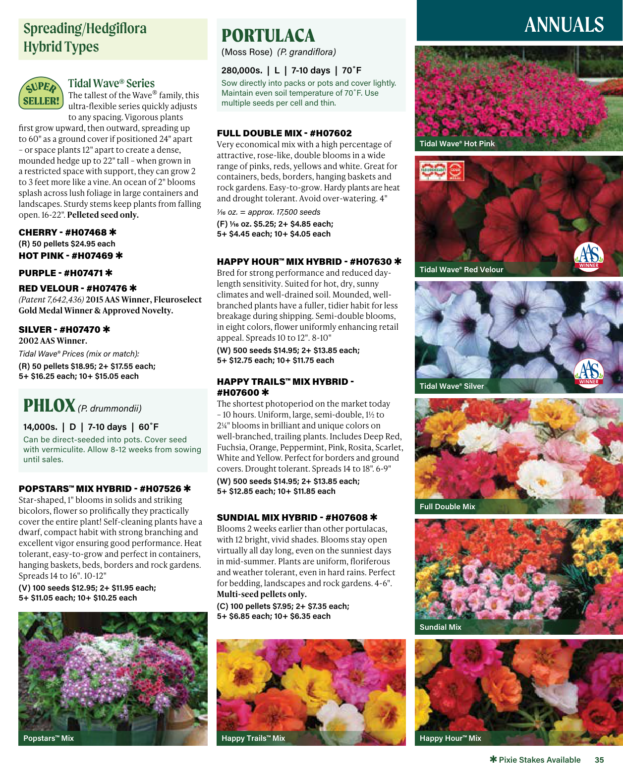 Flyer page 35