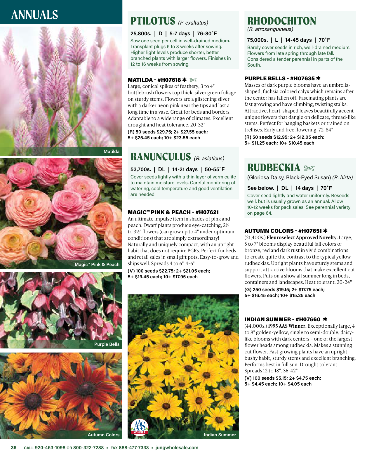 Flyer page 36