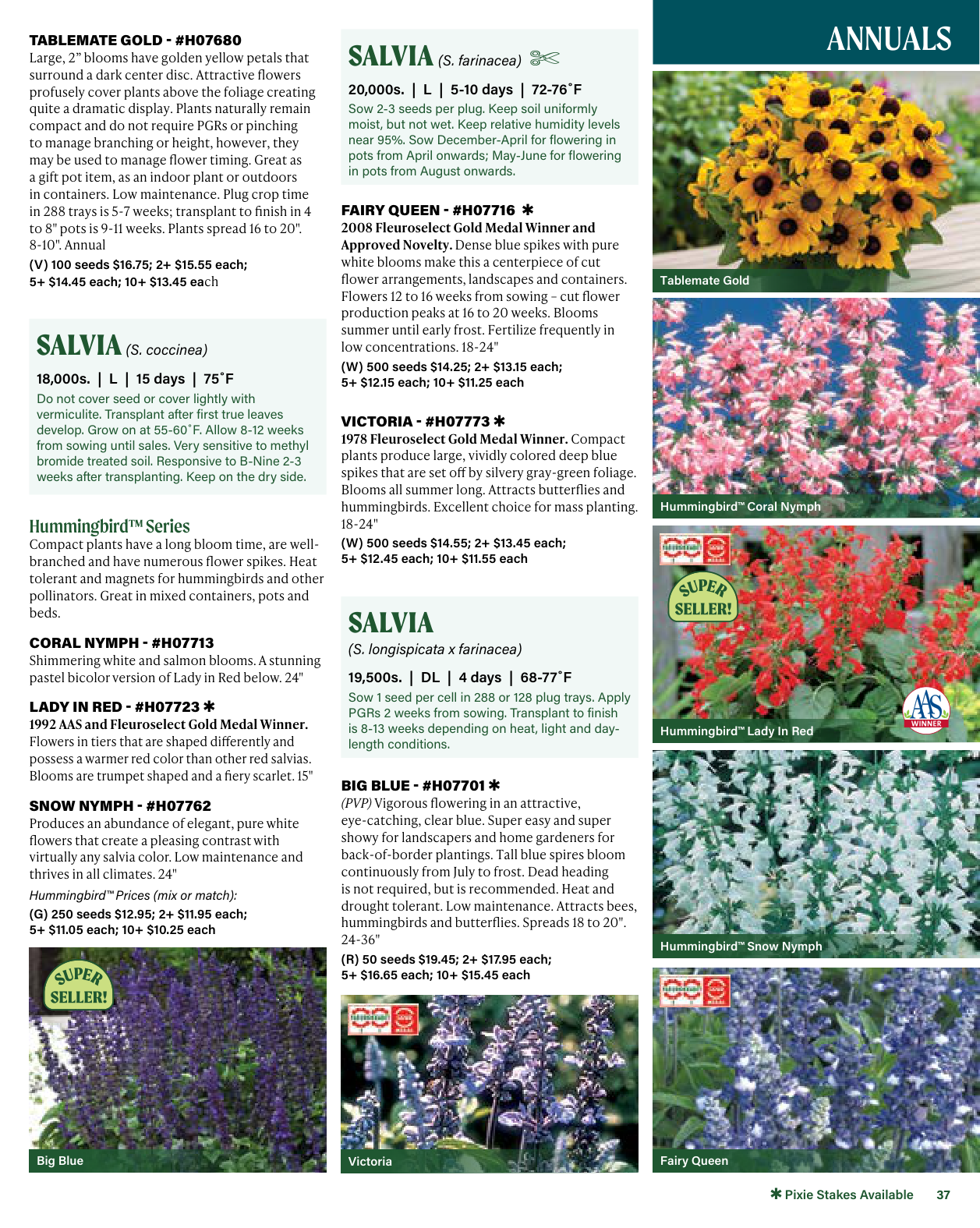 Flyer page 37