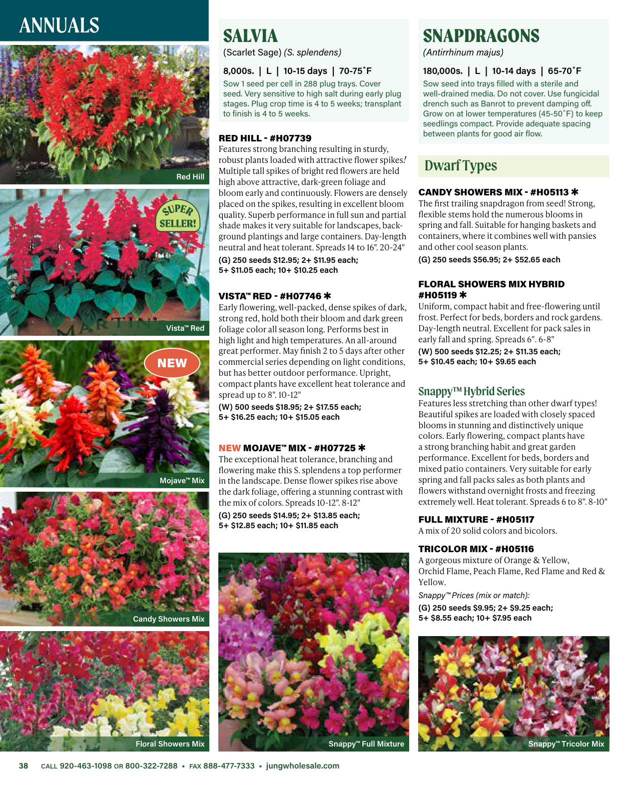 Flyer page 38