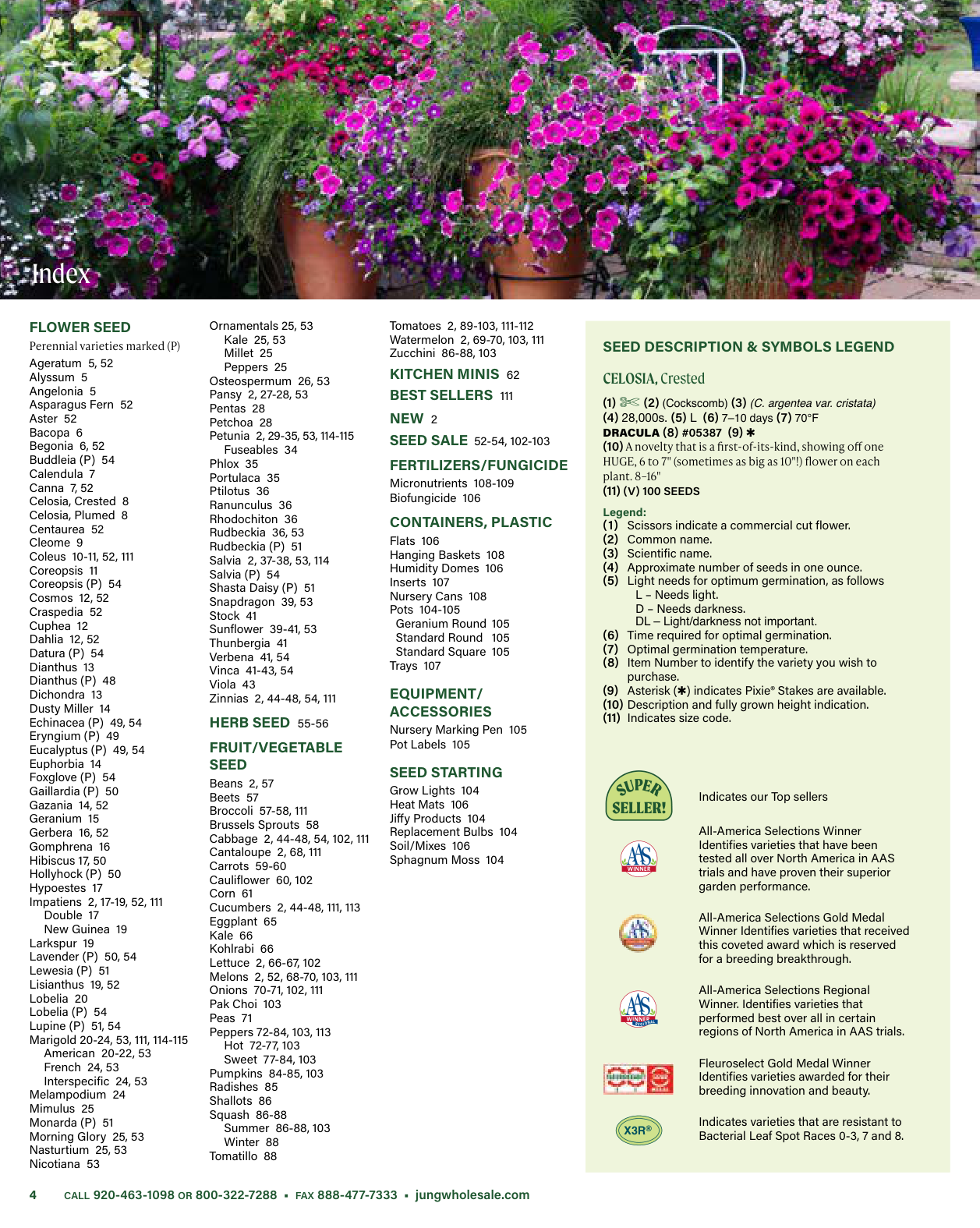 Flyer page 4