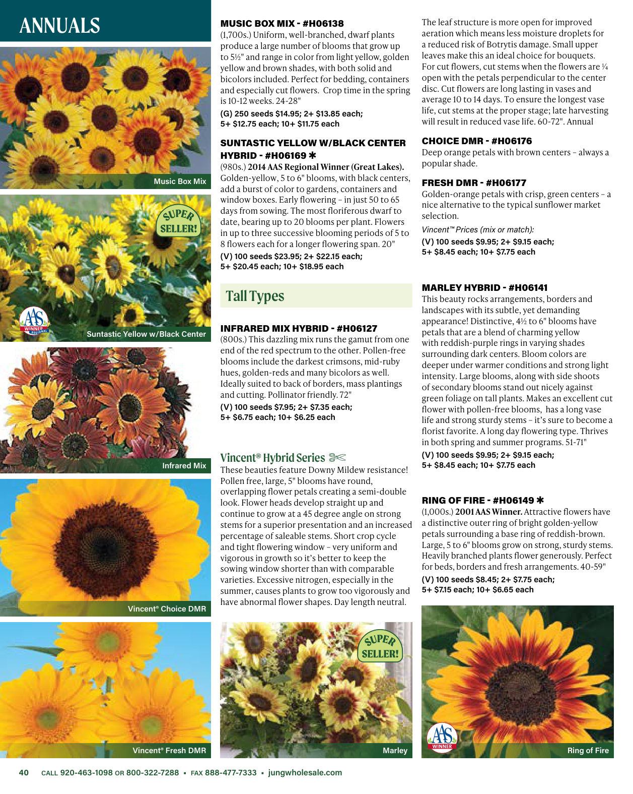 Flyer page 40