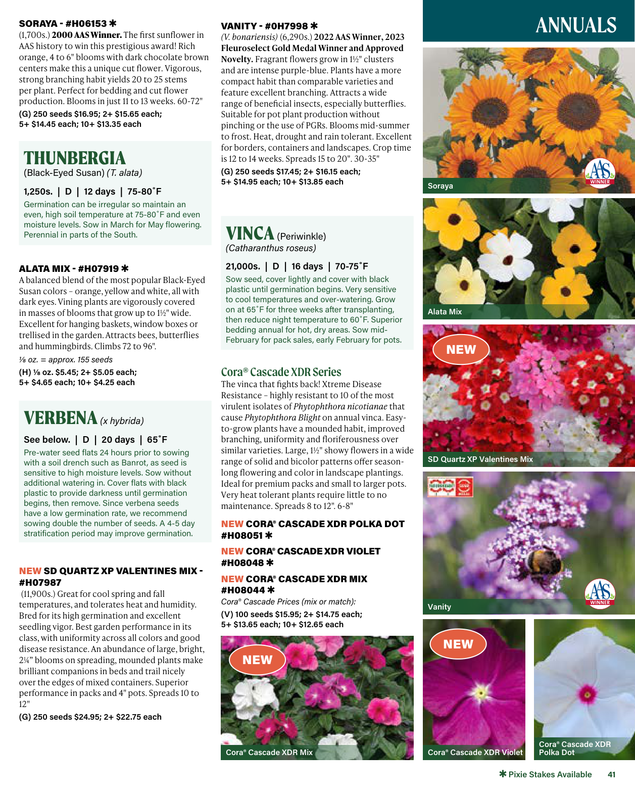 Flyer page 41