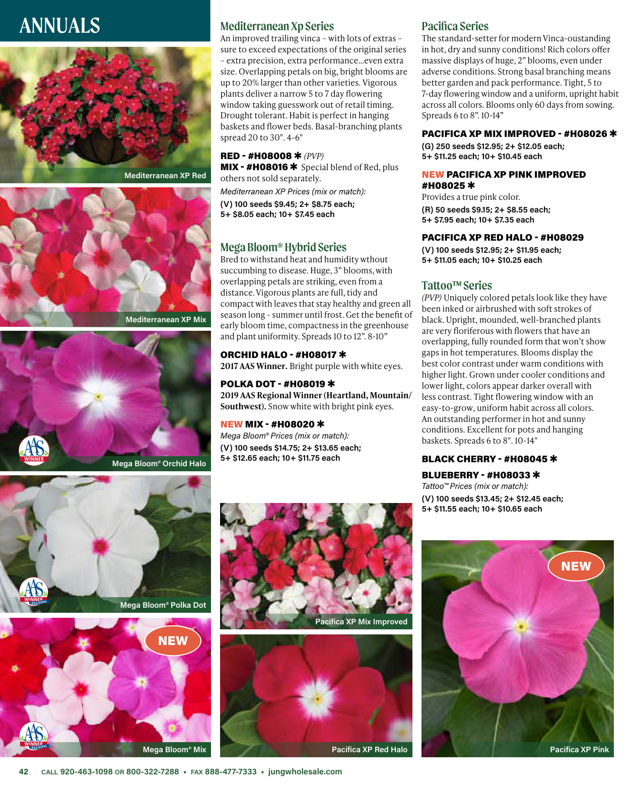 Flyer page 42