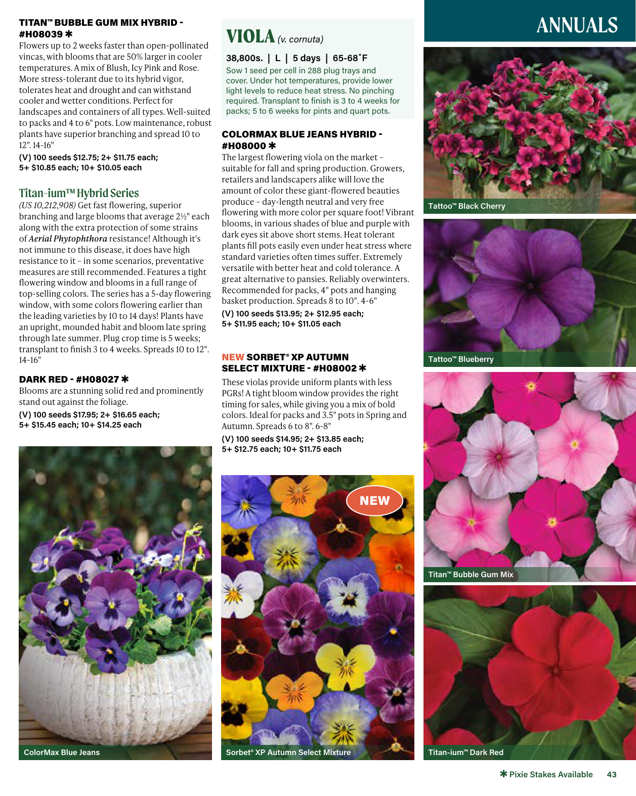 Flyer page 43