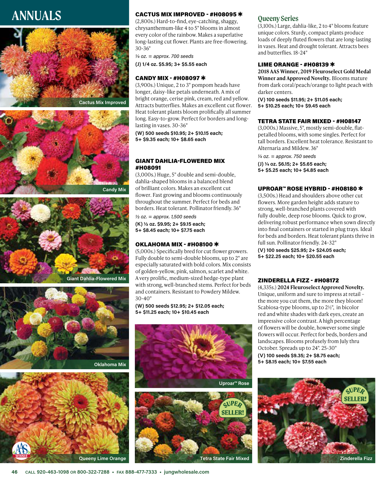 Flyer page 46