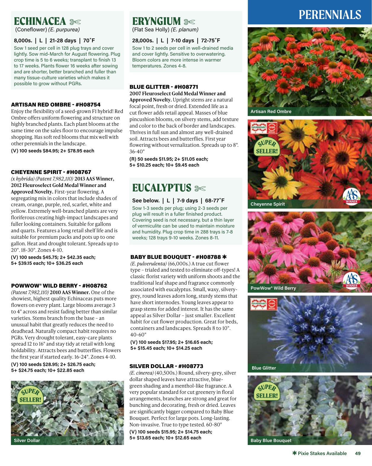 Flyer page 49