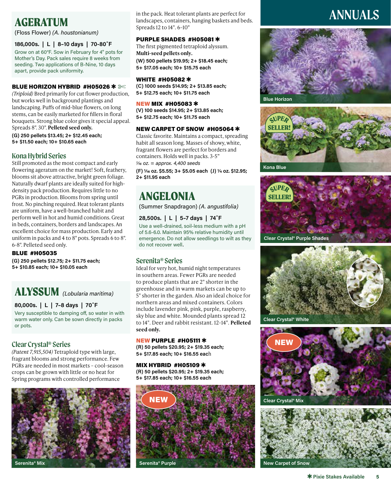 Flyer page 5