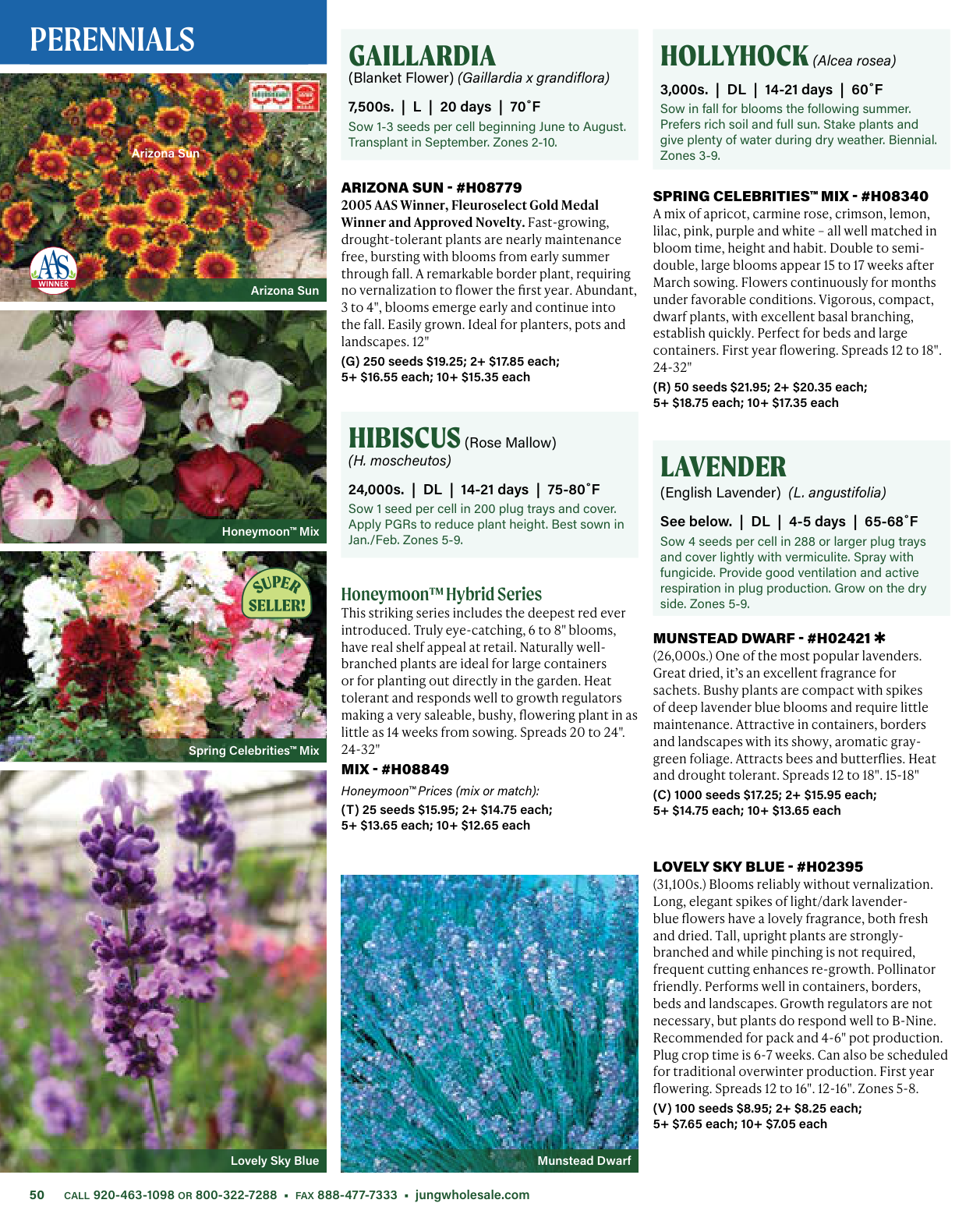 Flyer page 50