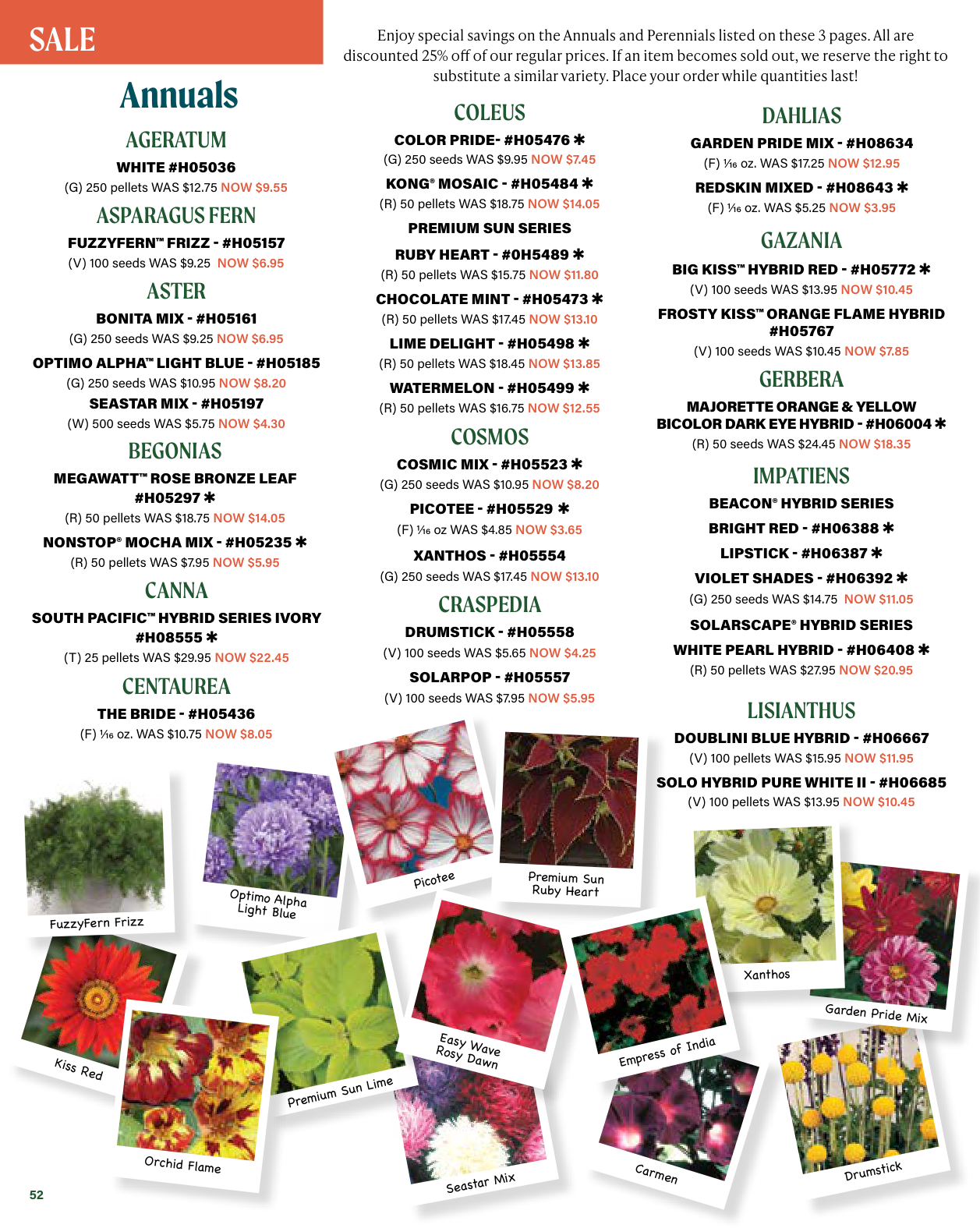 Flyer page 52