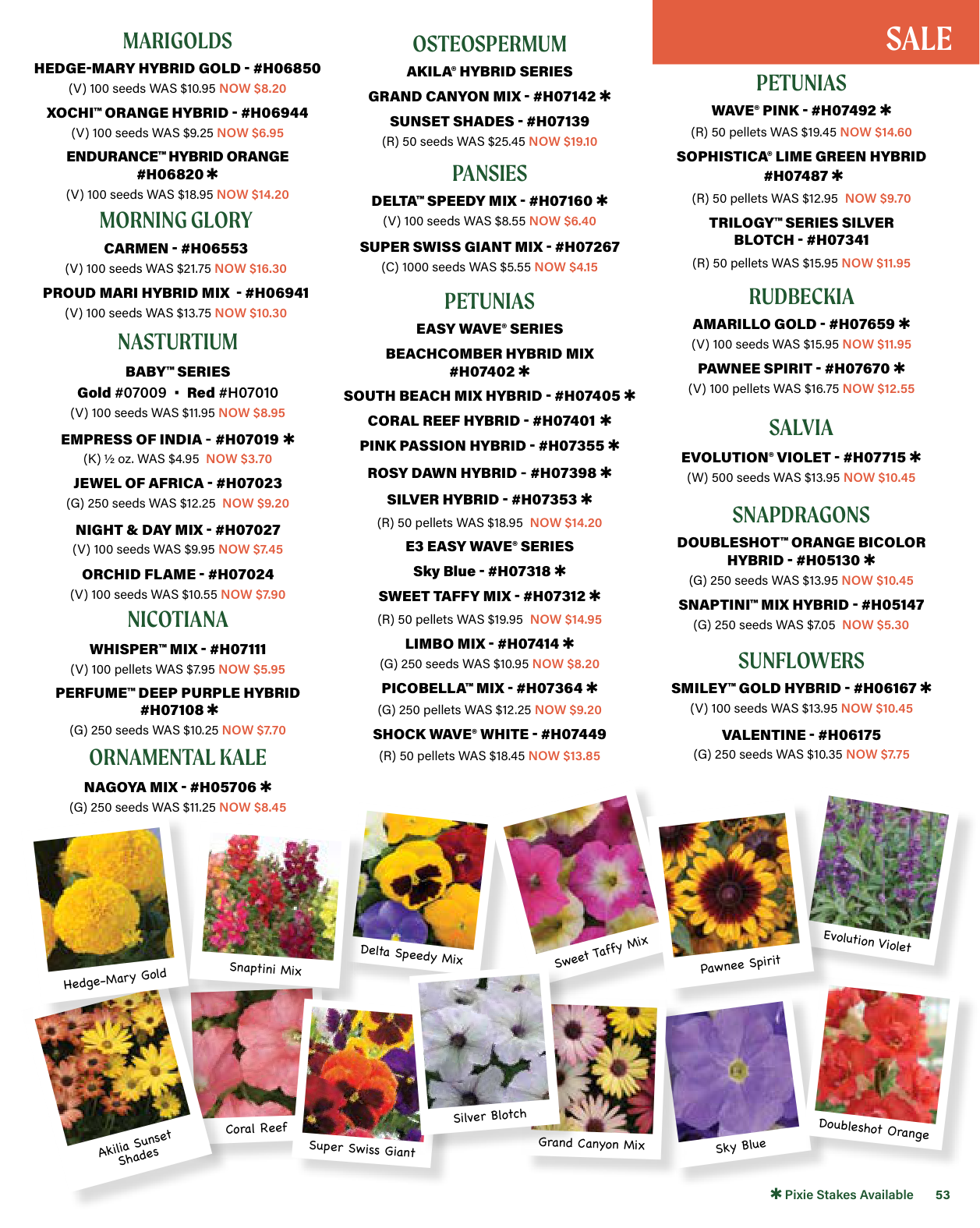 Flyer page 53