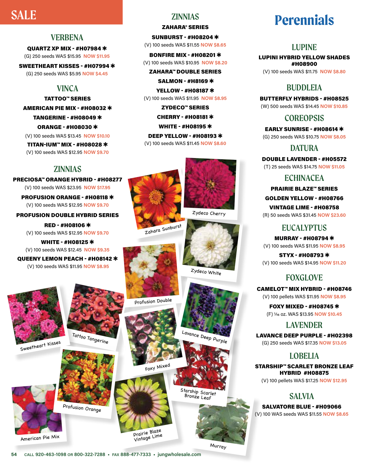 Flyer page 54