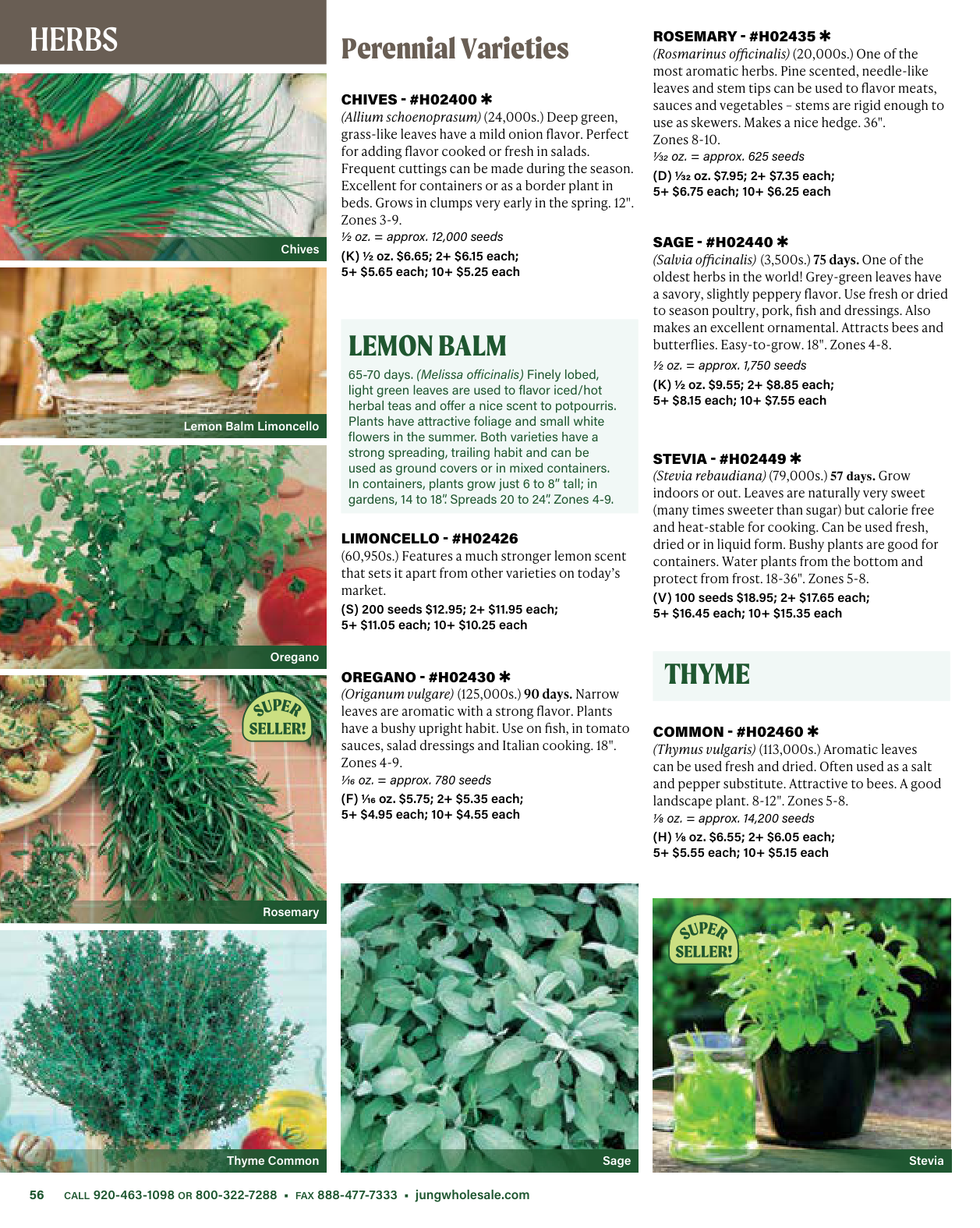 Flyer page 56