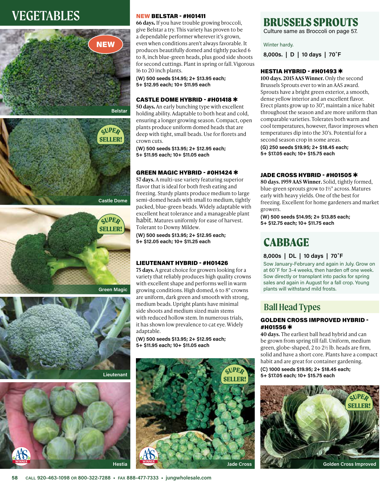 Flyer page 58