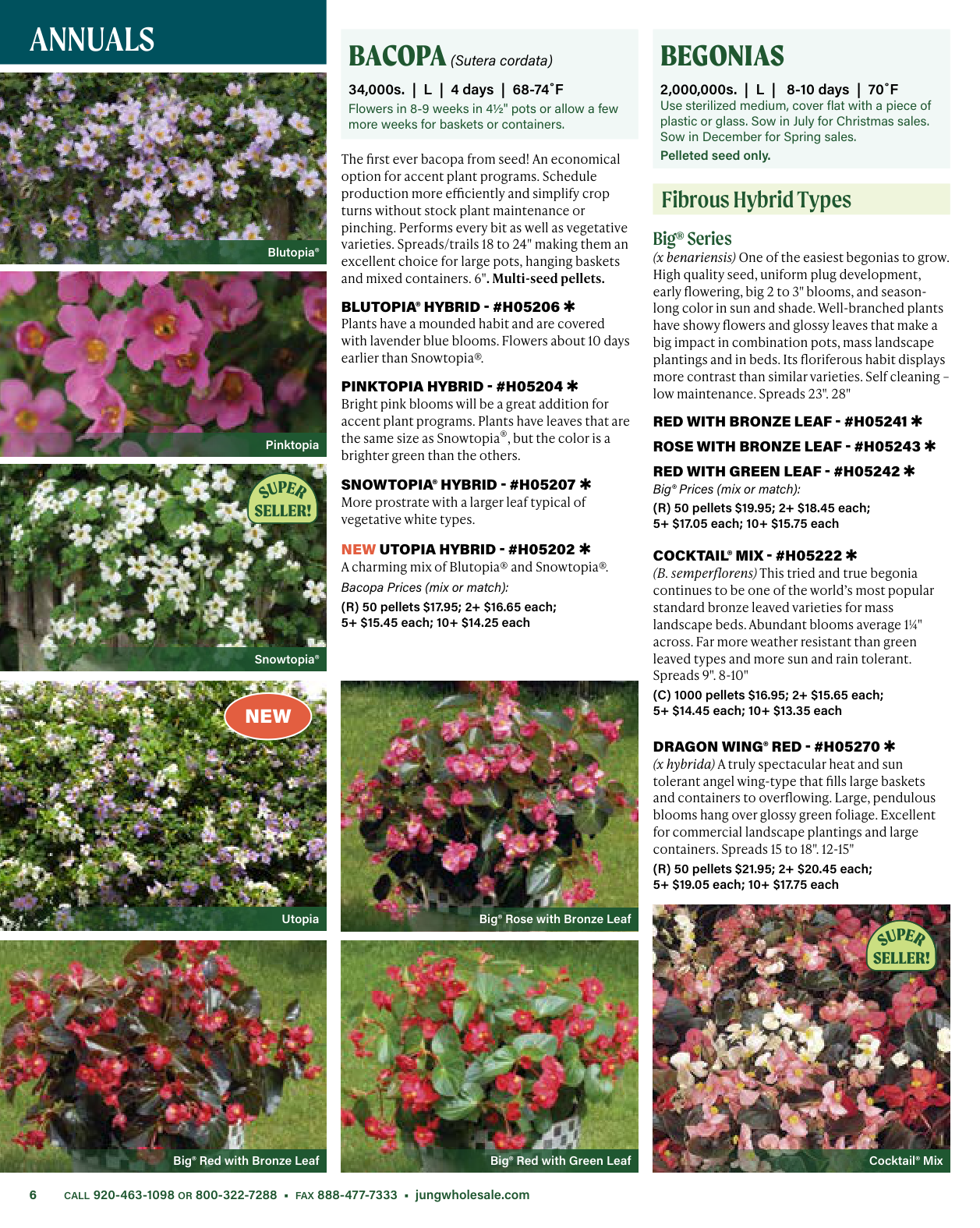 Flyer page 6