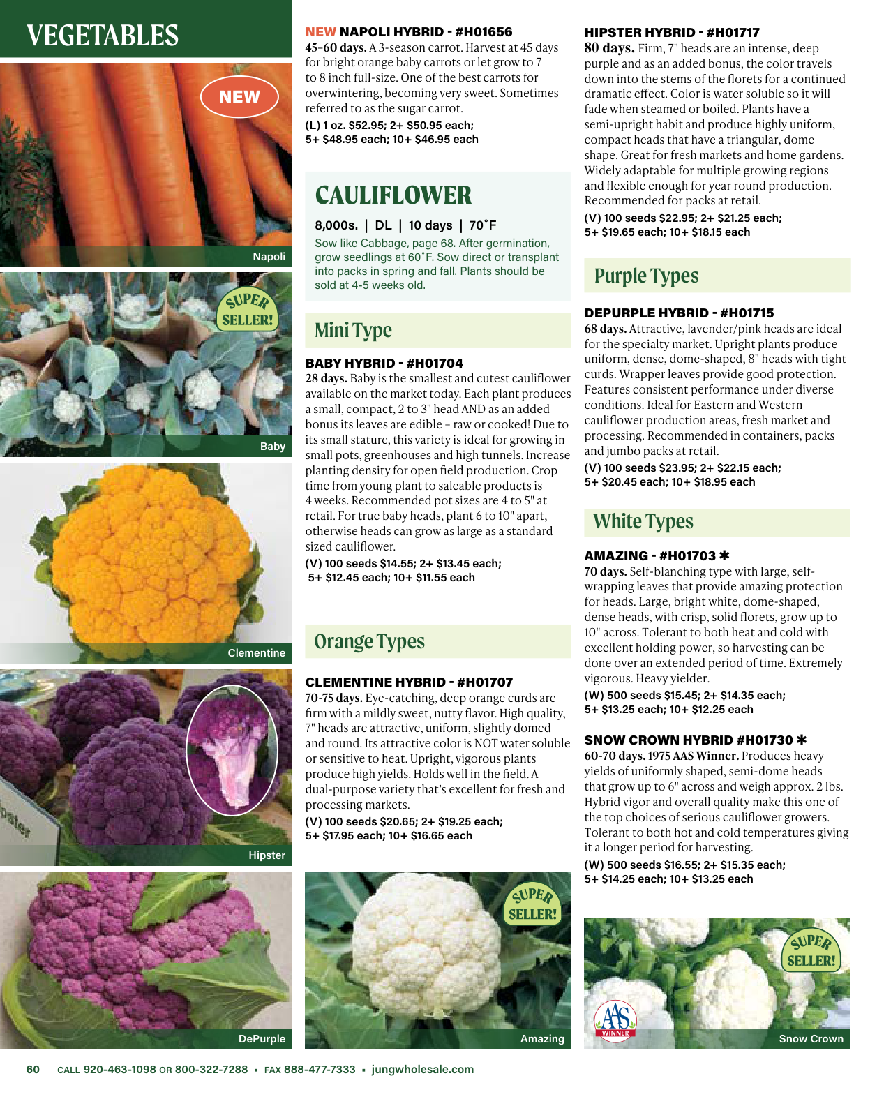 Flyer page 60