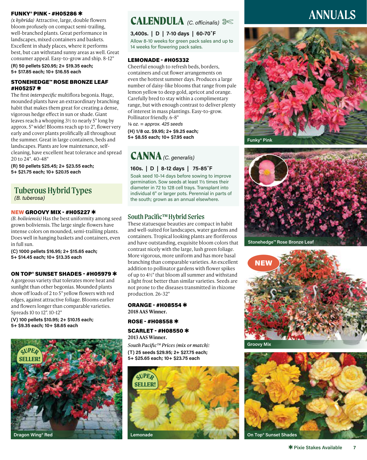 Flyer page 7