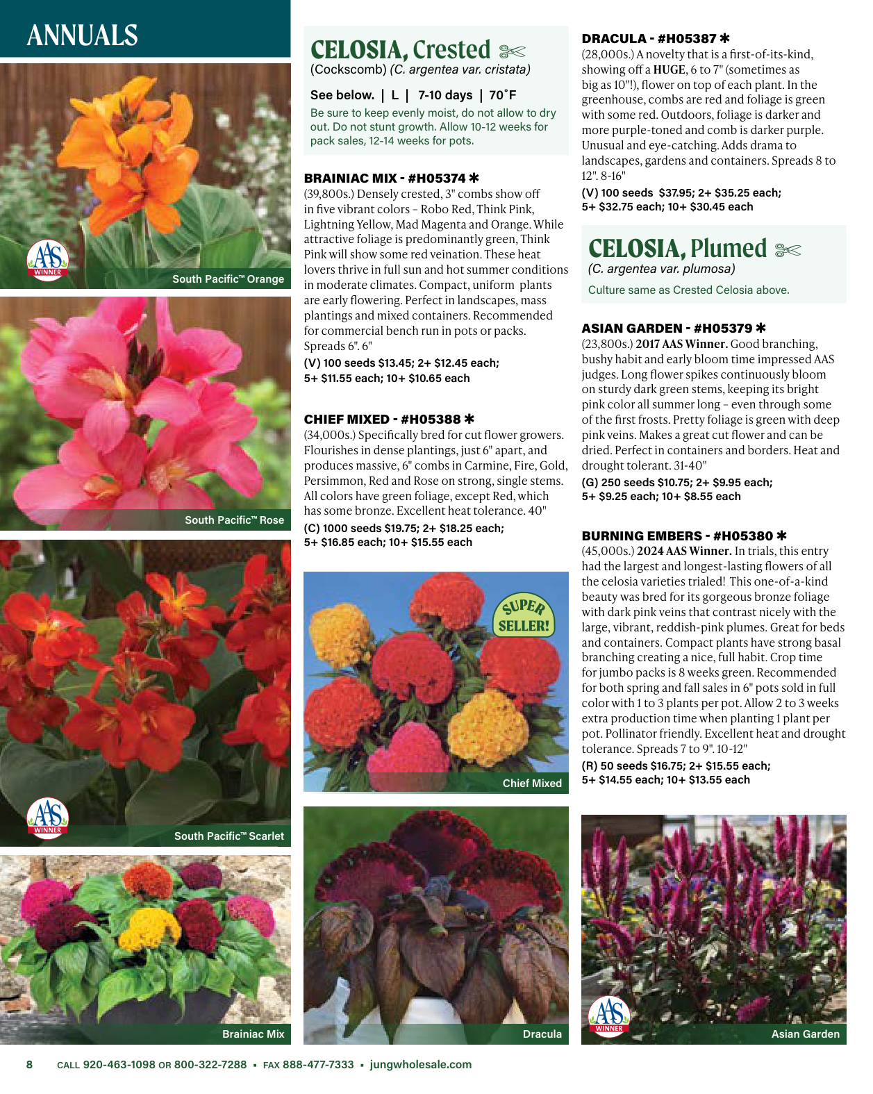 Flyer page 8